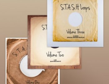 !llmind - S.T.A.S.H. Loops Vol. 1 - 3