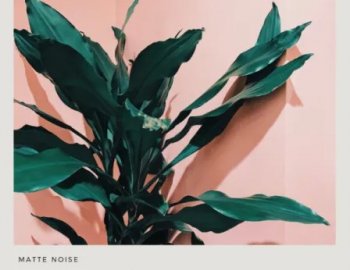 GOGOi Blissful Bedroom Serum Presets