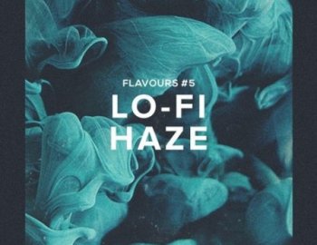 HelloSamples Flavours 5 Lofi Haze
