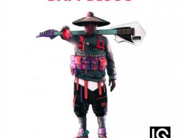 IQ Samples Daft Disco