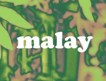 Splice Sounds Malay Sample Pack