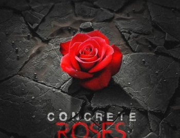 2DEEP Concrete Roses