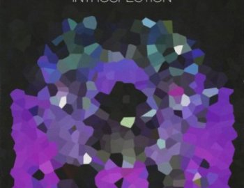 Coop The Truth INTROSPECTION One Shots