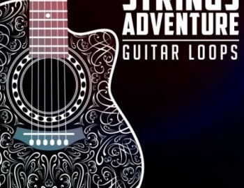 Audentity Records Strings Adventure