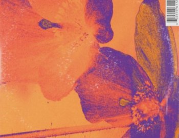 Steven Shaeffer Sound Collection Vol 1