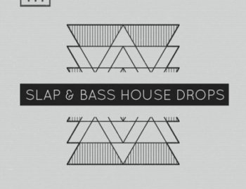 Bingoshakerz Slap & Bass House Drops