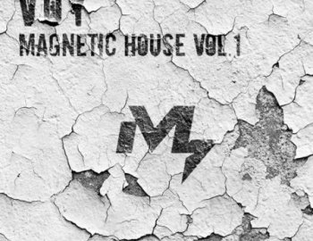 Sample Market VOY Magnetic House Vol.1