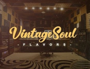 Samplestar Vintage Soul Flavors