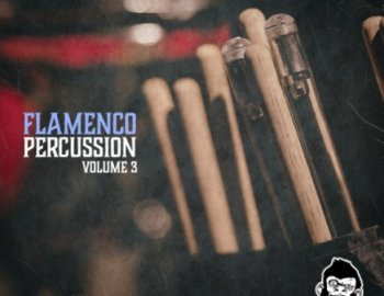 Vanilla Groove Studios Flamenco Percussion Vol 3