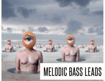 Concept Samples Melodic Bass Leads