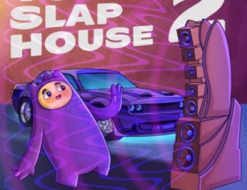Dropgun Samples Vocal Slap House 2