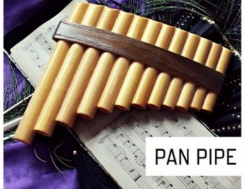 Pulsed Records World Series: Pan Pipe