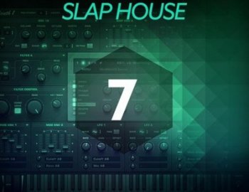 Baltic Audio Sylenth1 Essentials Vol 7 - Slap House
