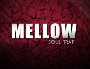 Acoustic Melodiez Mellow Soul Trap