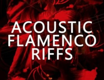 Blackwood Samples Acoustic Flamenco Riffs