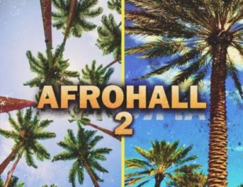 Cartel Loops Afrohall 2