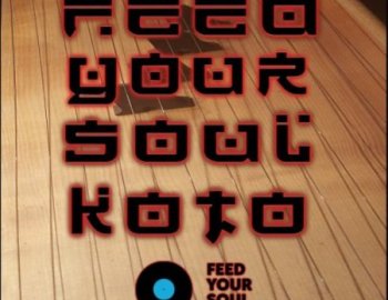 Feed Your Soul Music Koto