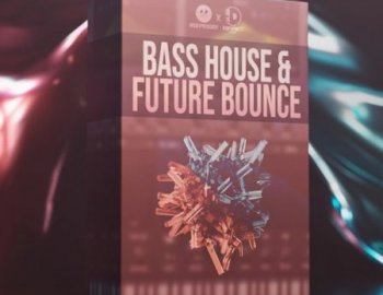 Disformity Bass House & Future Bounce