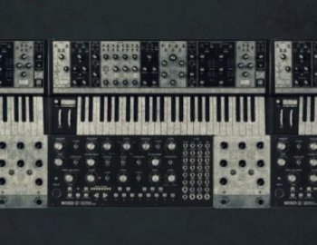 Sample Magic Raw Analogue Techno