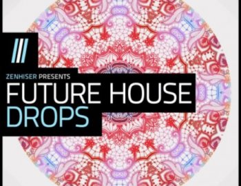 Zenhiser Future House Drops