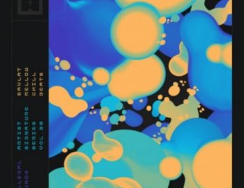 Billegal Sounds Savlat Mullabekov Mellow Chill Beats