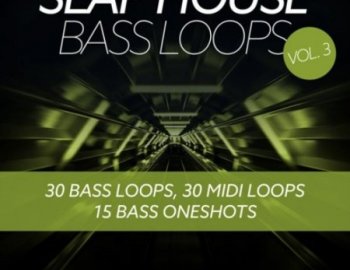 Baltic Audio Slap House Bass Loops Vol 3