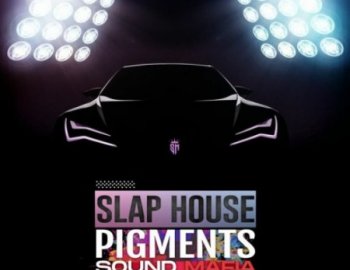 Sound Mafia Slap House Pigments