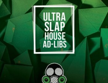 Vandalism Slap House Ad Libs