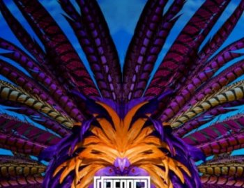 Diaspora Soul of Calypso