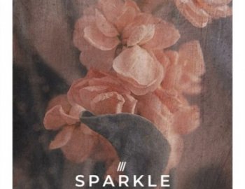 Zenhiser Sparkle Drum & Bass