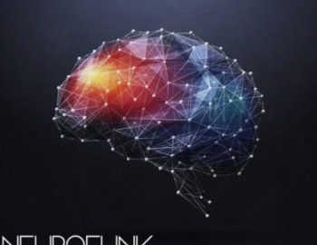 Sample Tools by Cr2 Neurofunk DnB