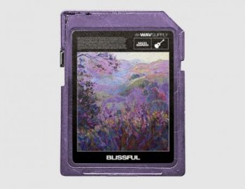 WavSupply Nico Baran Blissful - Guitar Loop Kit