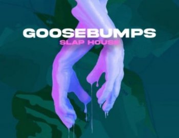 Production Master Goosebumps - Slap House