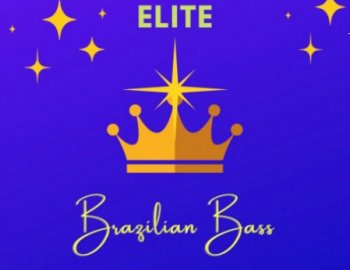 Mystic Alankar Elite - Bass House Serum Presets