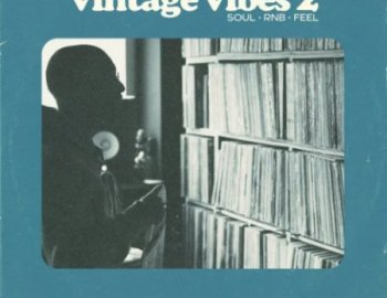Origin Sound VINTAGE VIBES 2