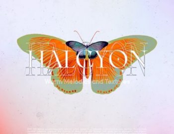 Renraku Halcyon - Warm Melodics and Textures