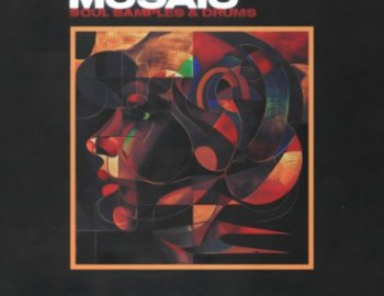 The Sample Lab Mosaic