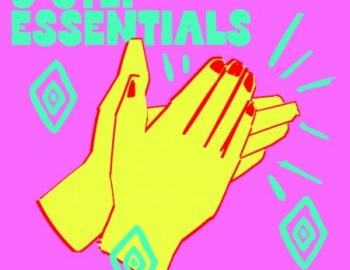 Splice Sessions 3 step Essentials