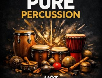Hot Grooves Pure Percussion Sample Pack