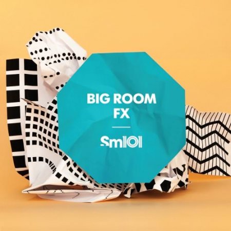 SM101 Big Room FX
