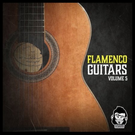 Vanilla Groove Studios Flamenco Guitars Vol 5