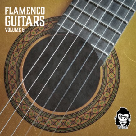 Vanilla Groove Studios Flamenco Guitars Vol 6