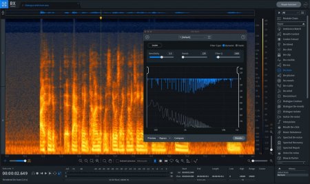 iZotope RX 10 Audio Editor Advanced v10.0.0