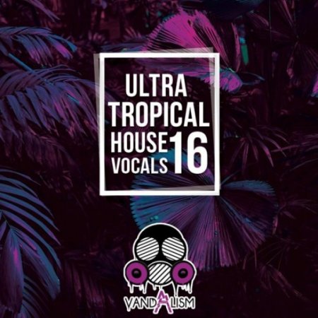 Vandalism Ultra Tropical House Vocals 16