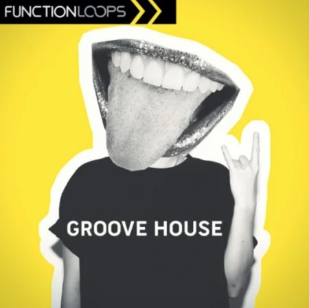 Function Loops Groove House