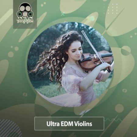 Vandalism Ultra EDM Violins