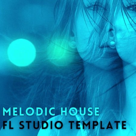 Amir Farhoodi Melodic House Vol.2 FL Studio Template
