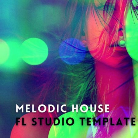 Amir Farhoodi Melodic House Vol.3 FL Studio Template