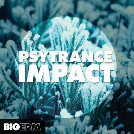 Big EDM Psytrance Impact