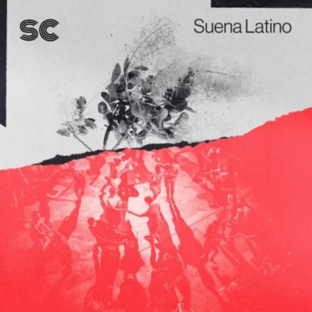 Sonic Collective Suena Latino